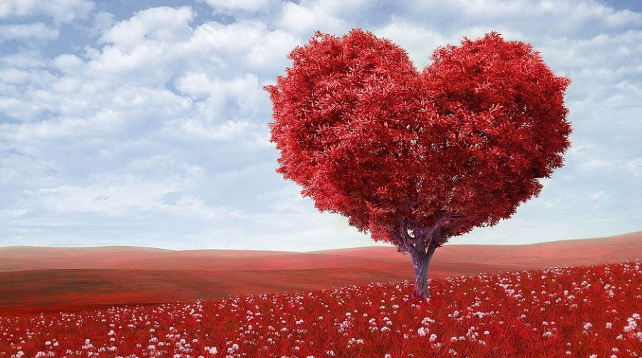 Dromen over liefde: Droom betekenis, Symbolen liefde