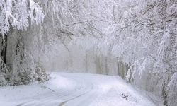 Dromen over sneeuw: Wat betekent dat? Dromen over sneeuw