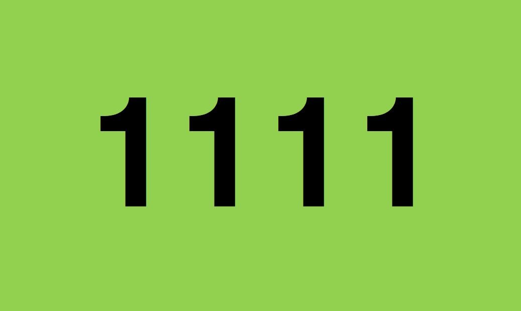 betekenis 1111