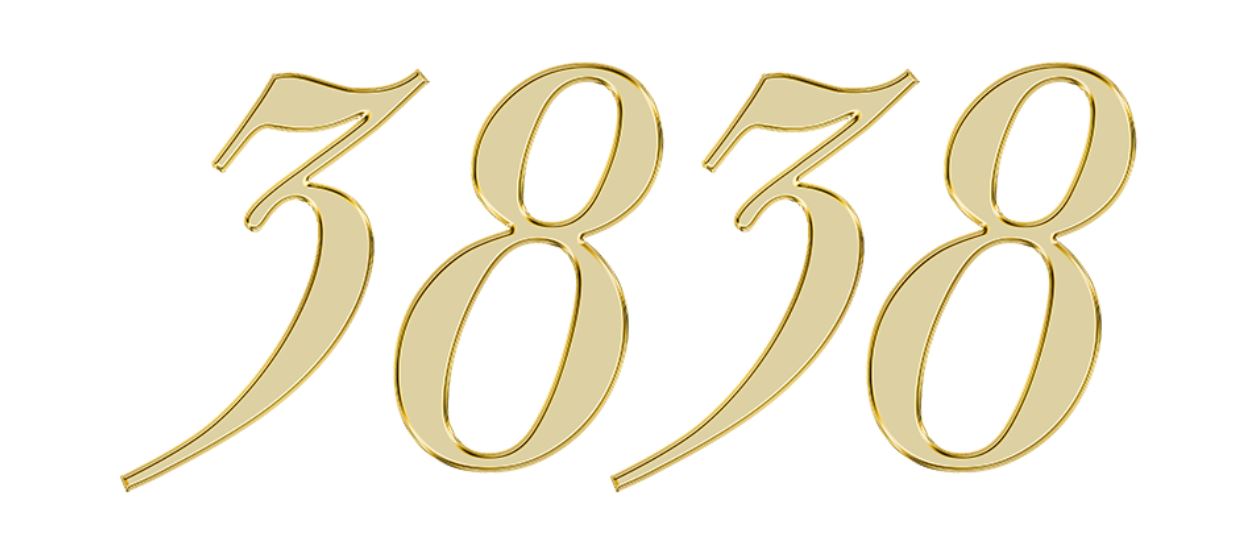 Numerologie 3838