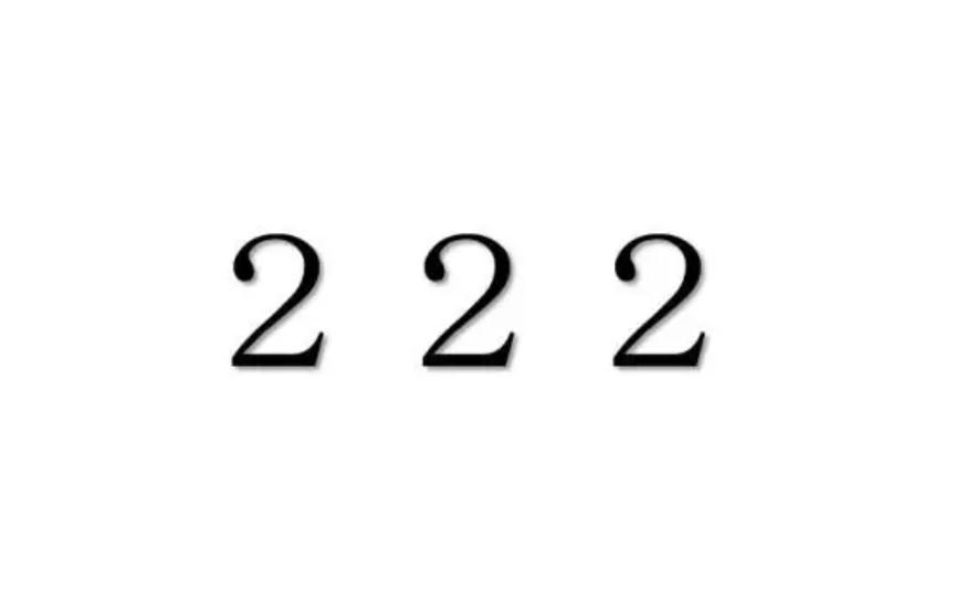 222 Betekenis