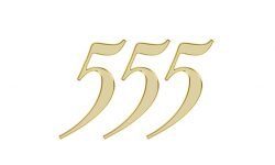 555 Betekenis