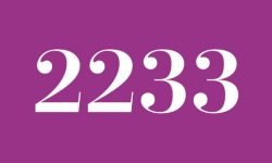 Numerologie 2233: Betekenis en Symbolen Numerologie 2233