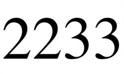 2233 Betekenis: Boodschap en Liefde 2233 Betekenis: Boodschap en Liefde
