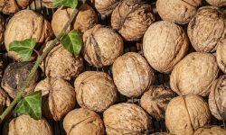 Waarom zijn walnoten gezond? Lees hier de 15 voordelen Waarom zijn walnoten gezond?