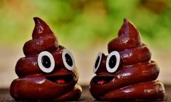 Dromen over poep, wat betekent dat? Dromen over poep