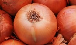 Dromen over uien, wat betekent dat? Dromen over uien